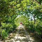 Casa De Docim فافي