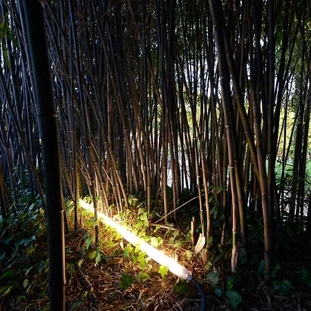 乡村民宿 卡萨多西姆乡林民宿