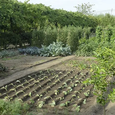 Landsted Casa De Docim *