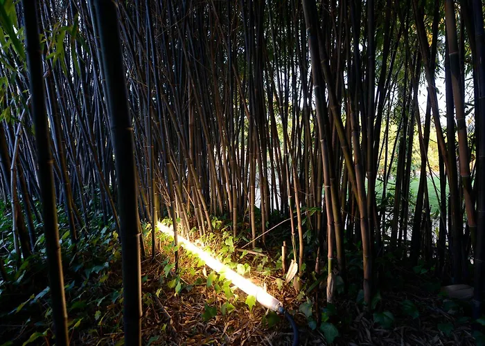 Casa de Campo Casa De Docim