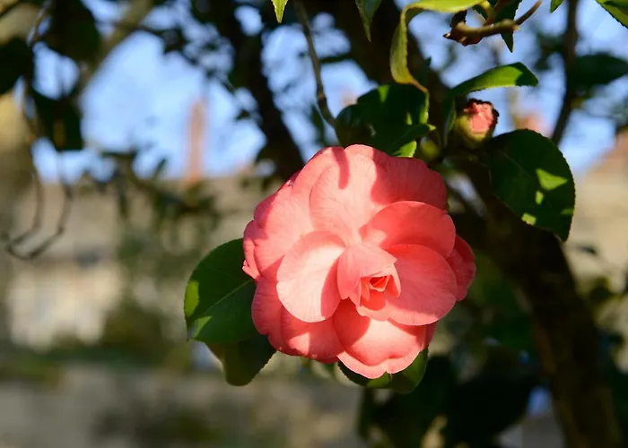 Casa De Docim Gospodarstwo wiejskie Fafe