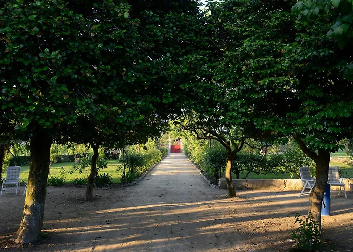 Casa De Docim Casa de Campo