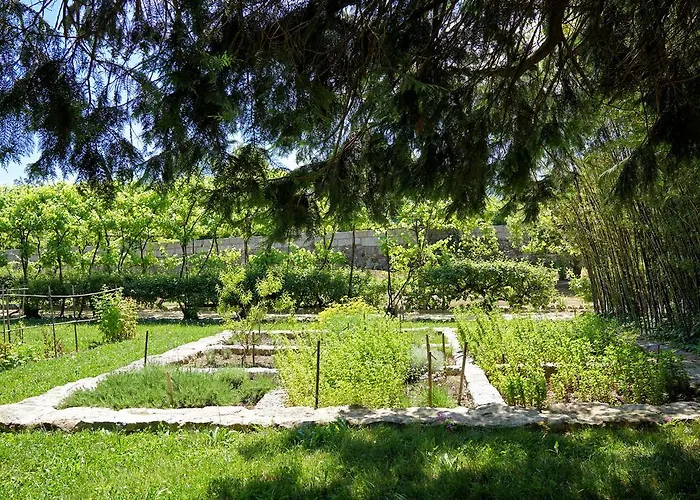 Casa de Campo Casa De Docim *