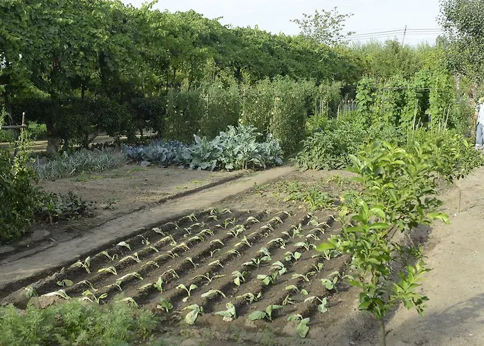 Casa de Campo Casa De Docim *